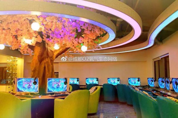 成都耍耍网电话，畅享养生好生活(成都耍耍网在哪上)