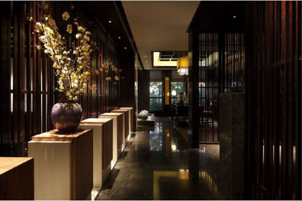 成都办公室养生秘籍：一杯茶，一天好心情(成都适合办公的茶楼)